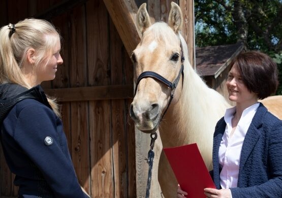 Pferderecht für Pferdebesitzer