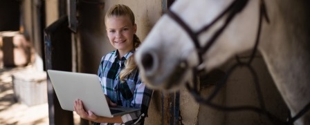 Beistellpferd-Vereinbarung online kaufen