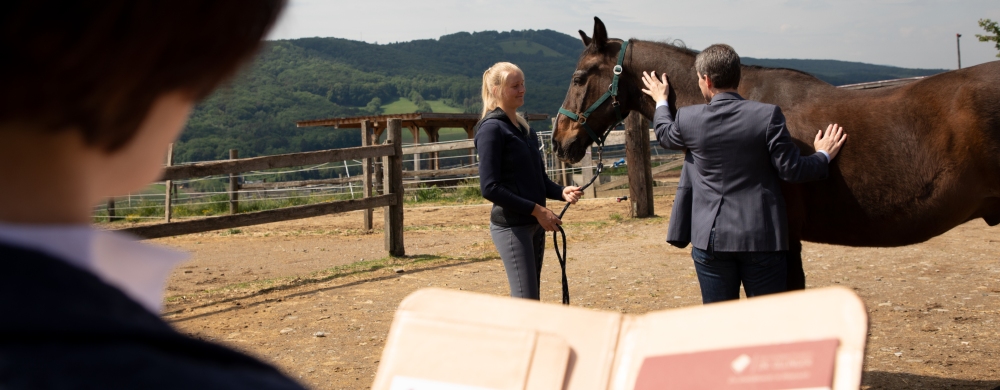 Pferderecht Beratung