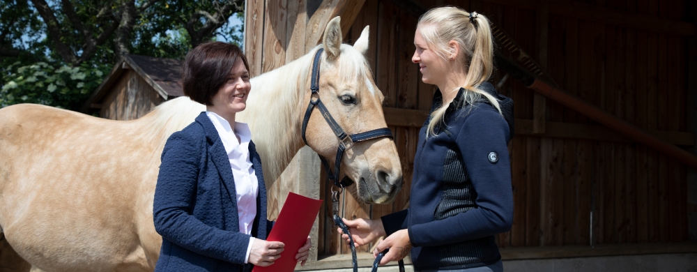 Verträge Pferderecht